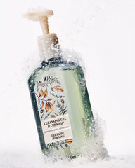 Lakeside Morning