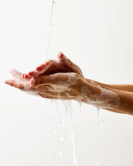 Lakeside Morning